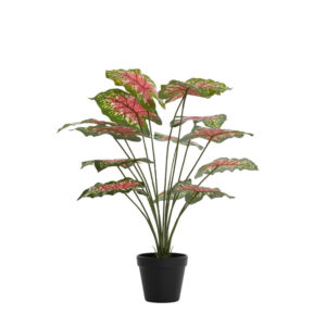 Kunsttaim Caladium 55cm